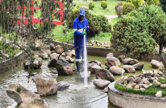 São José dos Campos realiza limpeza do lago de carpas do Torii