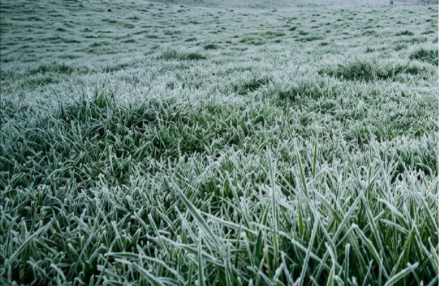 Campos do Jordão registra 2,1°C e tem primeira geada de 2026