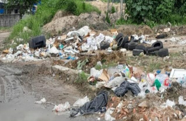Caraguatatuba aplica quase R$ 70 mil em multas por descarte irregular de lixo