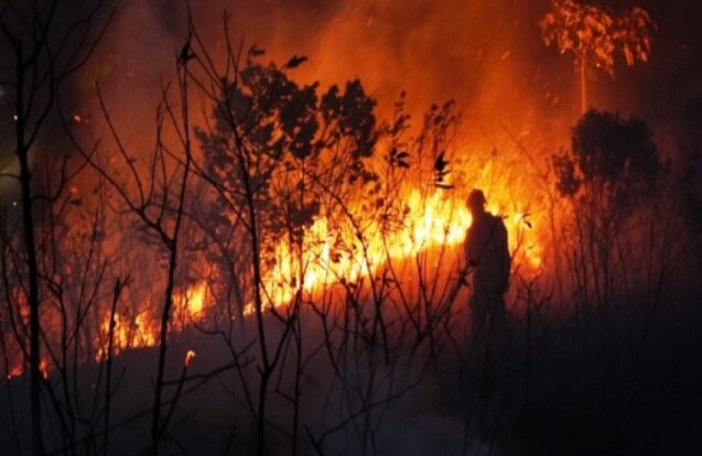Estado abre 243 vagas para brigadistas e reforça combate a incêndios em SP