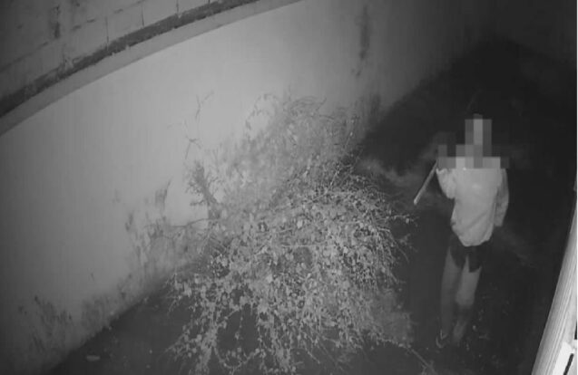 Monitoramento eletrônico impede possível furto em Moreira César