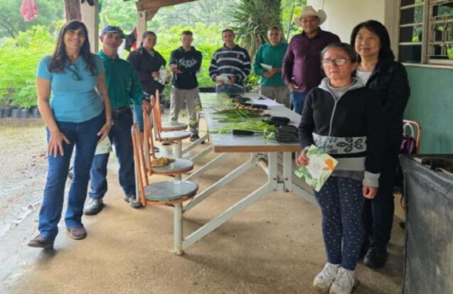 Pindamonhangaba amplia projeto com uso de plantas medicinais