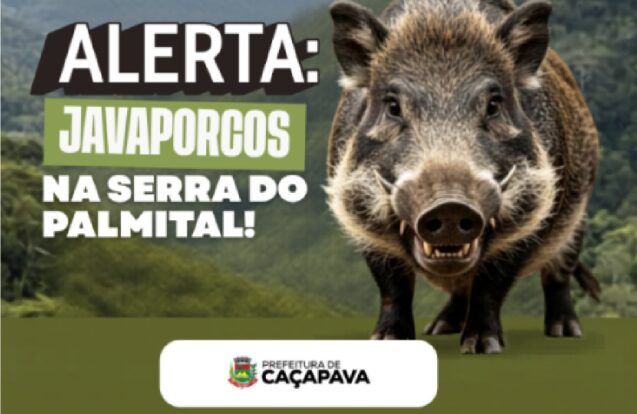 Prefeitura alerta para presença de javaporcos na Serra do Palmital em Caçapava