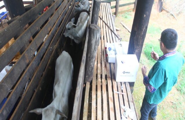 Prefeitura de São José esclarece que atendimento rural é gratuito