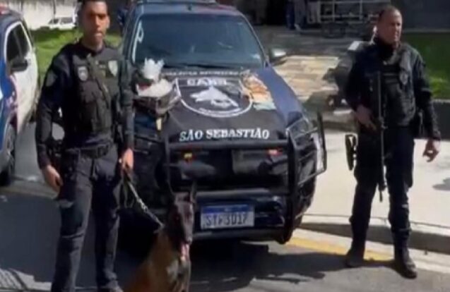 Cadela Kona ajuda GCM a prender suspeito de tráfico de drogas em São Sebastião