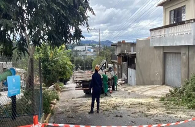 Temporal derruba mais de 150 árvores e deixa cidade do interior de SP em situação de emergência