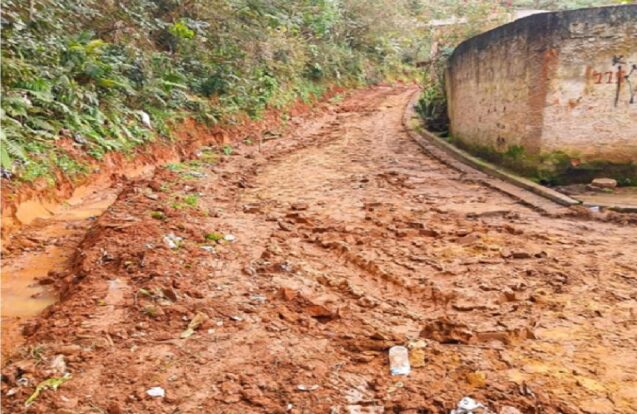 Bairro Santa Luzia recebe força-tarefa de limpeza e melhorias em Aparecida
