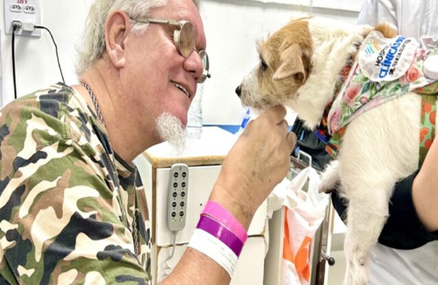 Cãoterapia leva carinho e ajuda na recuperação de pacientes em São José