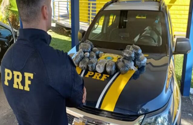 PRF apreende quase 21 kg de haxixe na Dutra em Lavrinhas