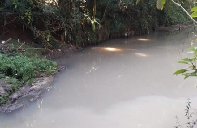 Peixes aparecem mortos e caso é investigado em rio de Campos do Jordão
