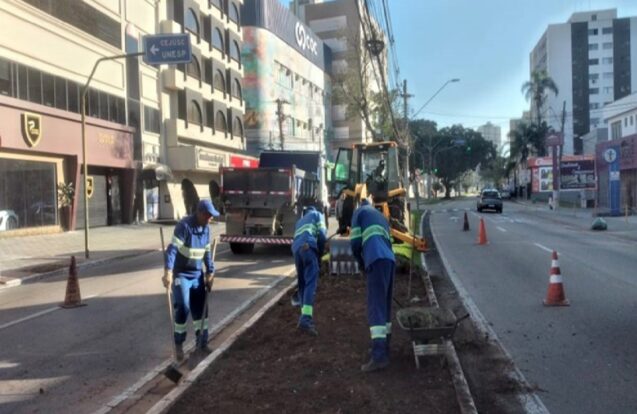 Avenida Nelson D'Ávila recebe obras para melhorar drenagem e paisagismo em São José dos Campos