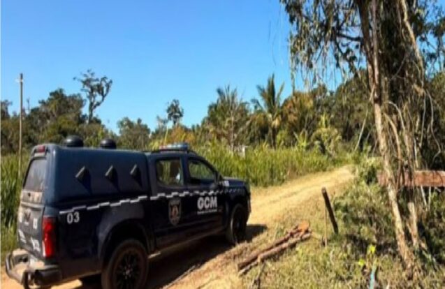 Caraguatatuba impede tentativa de ocupação irregular no bairro Golfinhos