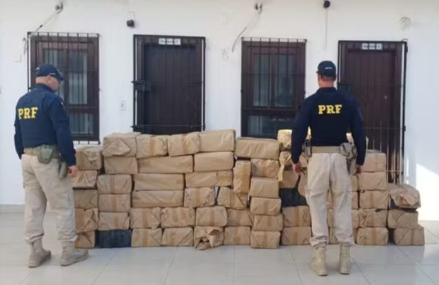 Mais de uma tonelada de maconha é apreendida na Via Dutra, em Cruzeiro