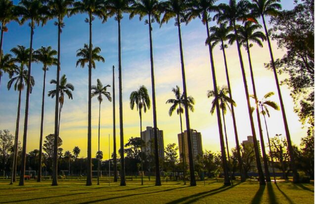 São José dos Campos recebe cinema gratuito ao ar livre nesta sexta