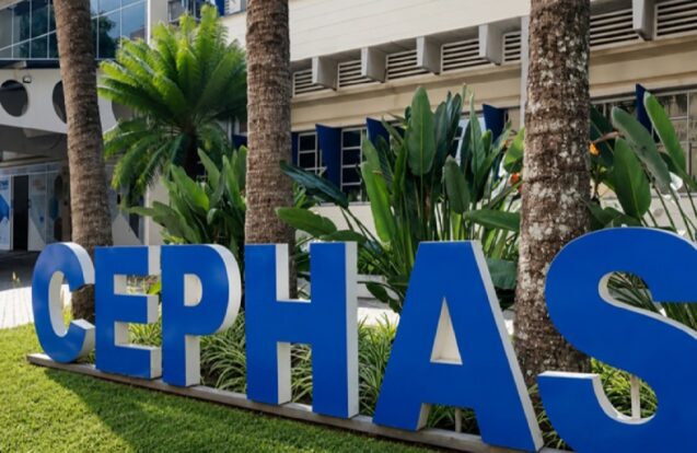 São José dos Campos tem 104 vagas em cursos gratuitos do Cephas