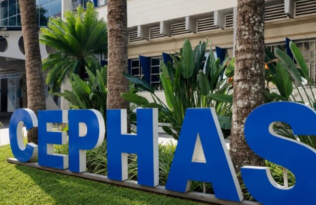 São José dos Campos tem 440 vagas gratuitas em cursos técnicos do Cephas