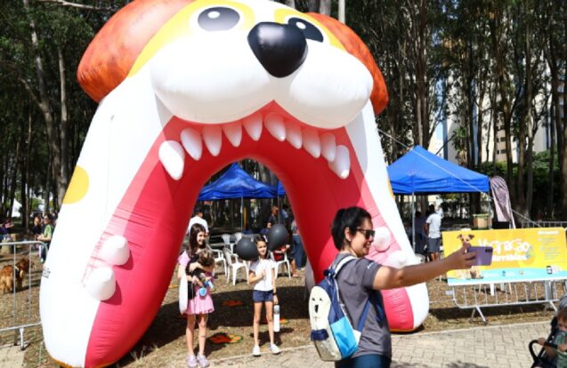 São José terá feira de adoção de pets neste domingo