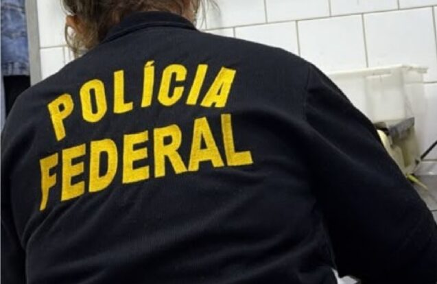 São Sebastião tem operação contra pesca ilegal de tubarões em Alcatrazes