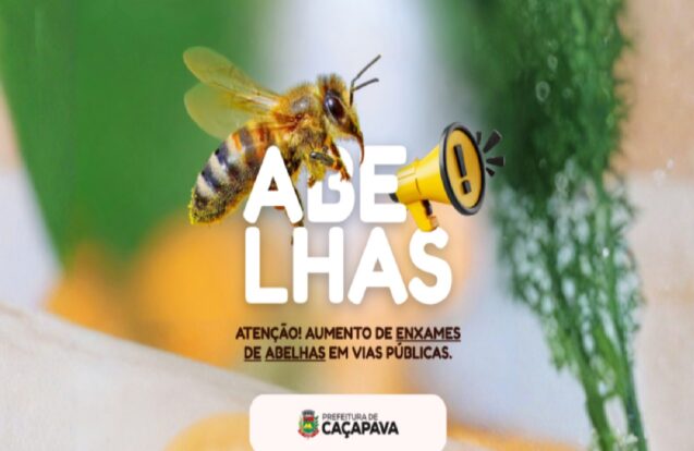 Caçapava alerta para aumento de enxames de abelhas em vias públicas