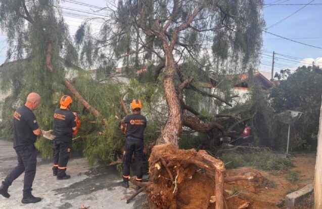 Chuva forte derruba árvores e mobiliza equipes em Pinda